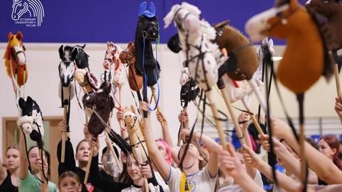 Соревнования Ассоциации хоббихорсинга России.